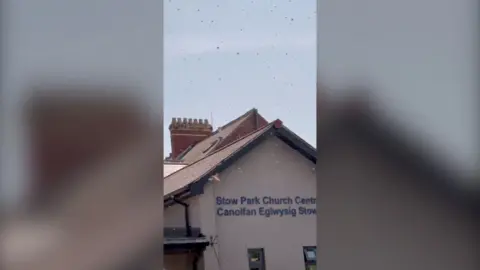 Swarm of bees outside a cream building. 