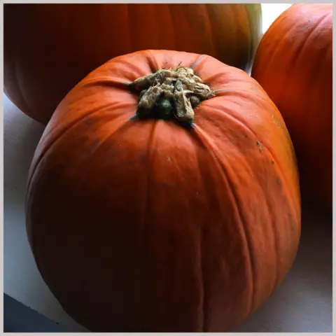 Eliza Hunt Eliza's pumpkins