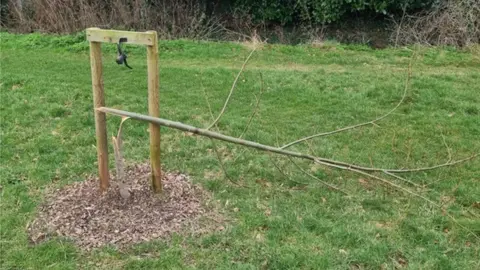Essex Police A damaged tree