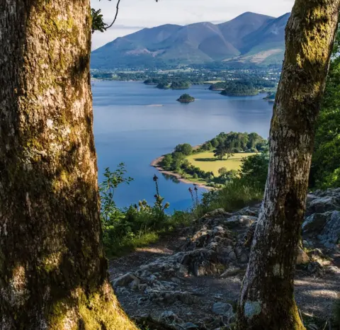 @full.frame.adventures  A view of a lake and distant hills glimpsed between two trees