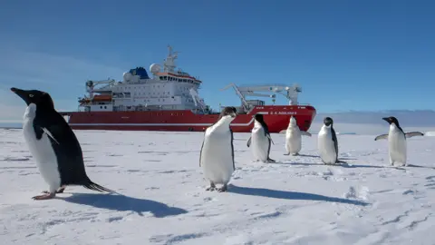 Weddell Sea Expedition 2019 Agulhas