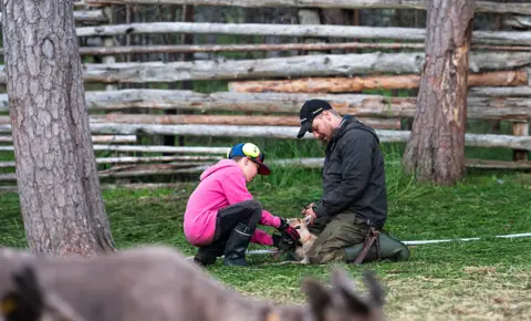 Mauri Kuru Vili Kurki, right with his son and a reindeer calf