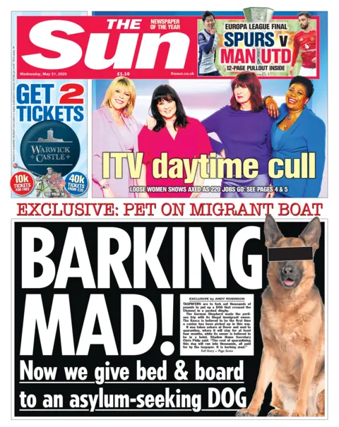  "Barking mad!".