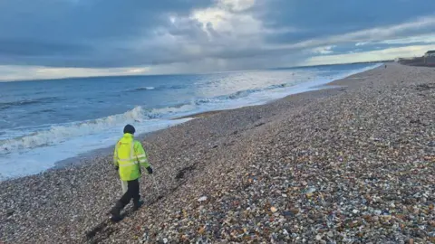 The image shows a man in a high-vis jacket walking along a beach with a trash-picker and a plastic bag.