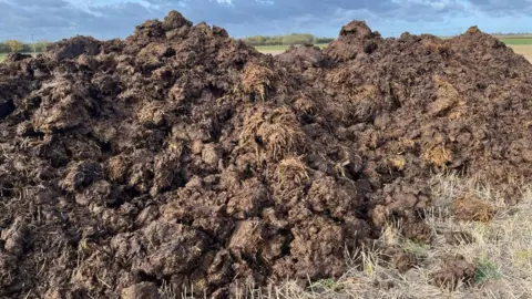 A pile of manure in a field. 