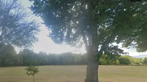 A recreation ground which has several trees in the foreground, including a small tree next to a more mature one. In the background is a woodland area. 