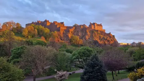 A large castle set on top of a hill, with a park in the foreground