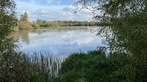 Ollie Conopo/BBC A river with lots of foliage on its banks with more trees seen in the distance.
