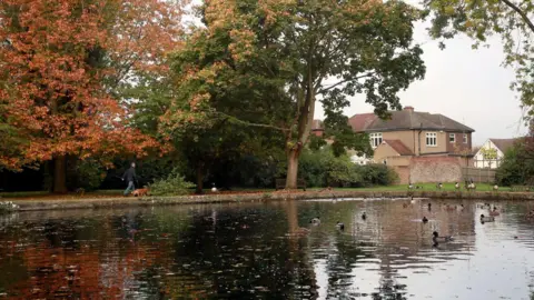 Wildfowl swim on a lake with houses in the background and trees with autumnal leaves surrounding the water