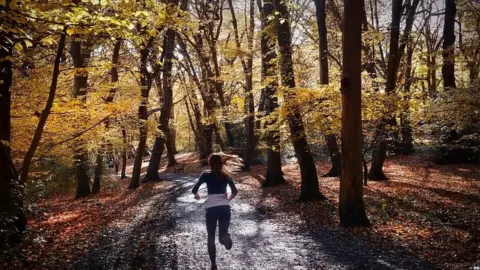 BBC Woman jogging through wood in north London