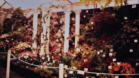 Burncoose Nurseries RHS Chelsea