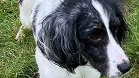 Bedfordshire Police Stolen dog