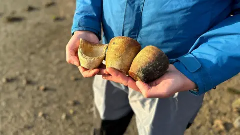 A close-up of the two full crucibles and one partial one in Andy Matthews' hands as he stands on the muddy river bed.