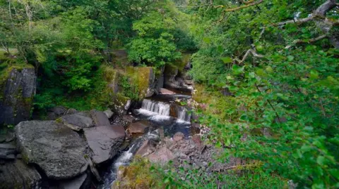 A waterfall surrounded by rocks and trees