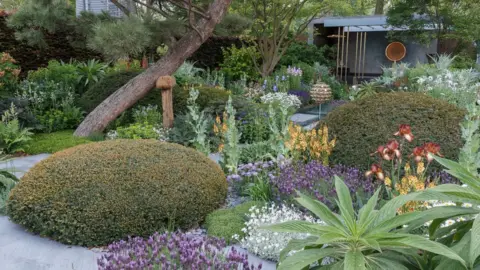 RHS/Neil Hepworth Chelsea Flower Show