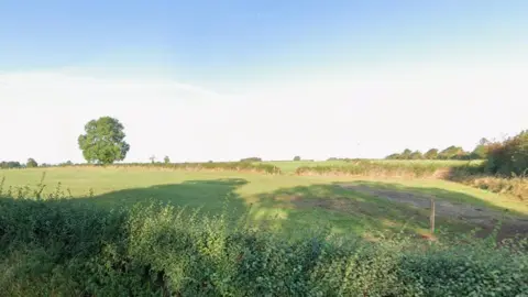 Google Field with a tree in the distance