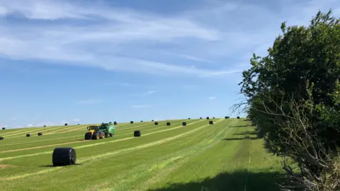 SUNDAY - A yellow tractor bailing in a field near Cumnor