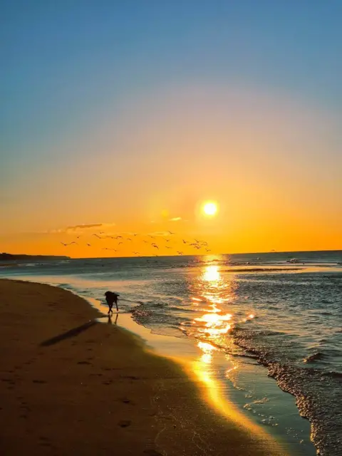 Abi Lyall A yellow sunrise over the beach. The sun is reflecting in the water. 