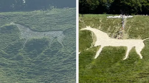 Greg Stoner On the left is a slightly faded white horse in a hillside, on the right is a far more vibrant one.