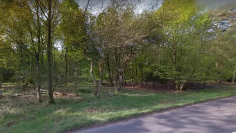 Google Ashdown Forest