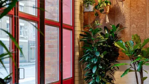 Plant Plan A red framed window has plants standing next to it and a brick wall backdrop. 