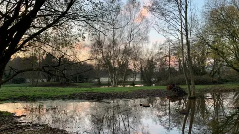 Glenn Anderson Ponds Dillington