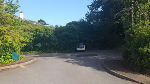 The car park on Idsall Drive. It is paved with trees and shrubbery around it. A single car is parked up in a bay.