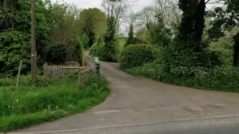 The end of a lane surrounded by trees and bushes.