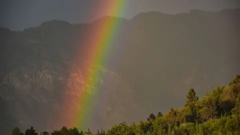 A rainbow is seen in front of a mountain. In the foreground is a hill with trees.