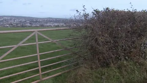 BBC View of farmland