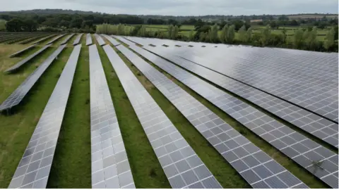 A solar farm on a field, with rows and rows of panels stretching into distance