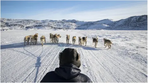 Getty Images A man riding a sledge across ice pulled by several dogs