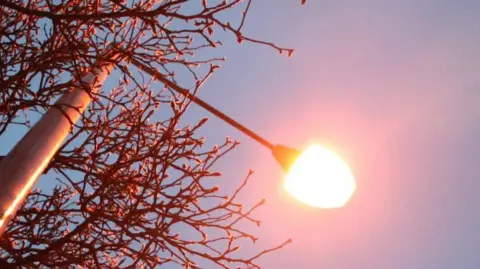 A lit street light is seen from its base. It illuminates the area immediately around it. A darkened sky is in the background, and the light is in front of a tree which has no leaves but many branches.