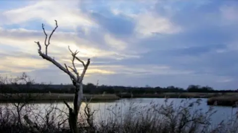 Paul Harrop/Geograph Far Ings Nature Reserve
