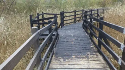 Cyngor Gwynedd Wooden footbridge over grassland area with long reeds and grasses. The wood is black where it has caught fire and collapsed in certain areas