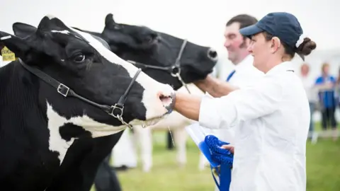 Google New Forest & Hampshire County Show