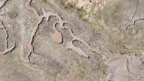 Wessex Archaeology The location of the original mud dock where HMS Beagle was most likely dismantled has been identified