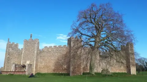 Framlingham Town Council A view of Framlingham Castle with the large copper beech tree standing in front of it on a sunny day with little clouds in the sky.