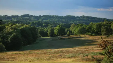 GETTY IMAGES Ashdown Forest in East Sussex
