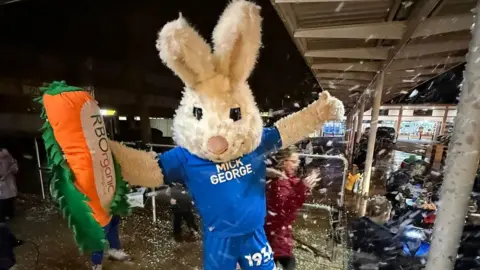 Richard Strangward The Peterborough United mascot, a white rabbit, wearing a blue shirt and blue shorts holding an inflated orange and green carrot.