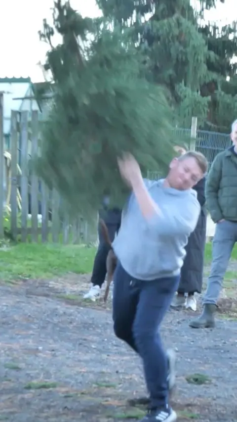 A man flinging a Christmas tree