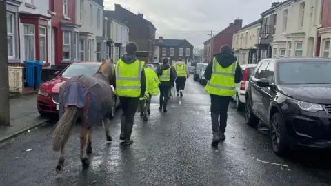 People in high-vis vests walk along a road lined with parked cars with a brown pony wearing a blue jacket.