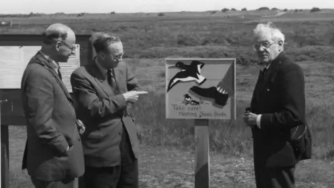 Lincolnshire Wildlife Trust Collection A black and white photo of three men dressed in suits, standing beside a wooden sign at a nature reserve that reads "Take care! Nesting Shore Birds", with an image of a bird, a nest and a walking leg.