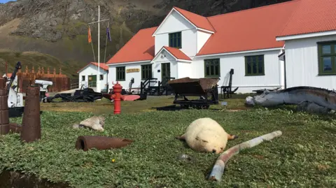 South Georgia Whaling Museum