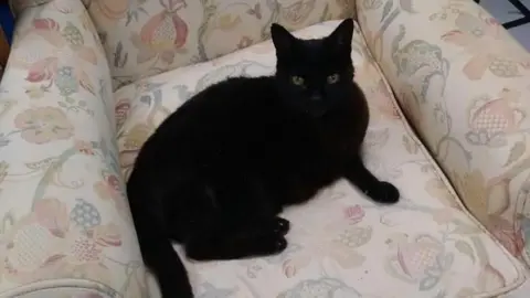 Salem sits on a armchair covered in a paisley print