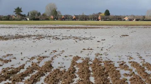 Martin Pope/Contributor A ploughed field containing channels of water, with houses in the background