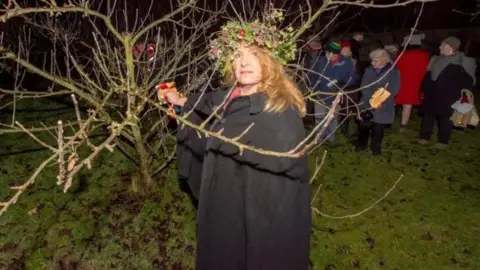 A woman at a previous Stamford wassail event. She has a crown made out of leaves on her head and is wearing a black cape. She is putting something on a tree branch.