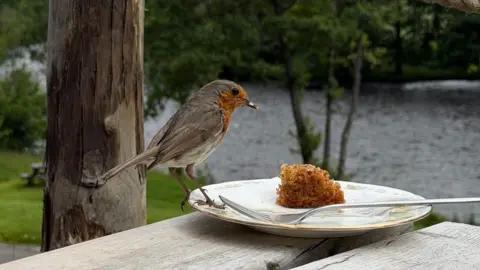 a bird sitting on the edge of a plate which has a fork and a piece of cake on it