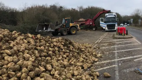 Diggers and a truck being used to remove sugar beet