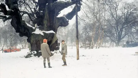 Blue Peter presenter John Noakes in Sherwood Forest in 1972 standing in front of the Major Oak which is surrounded by snow